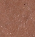 Mocha - Autumn Brown